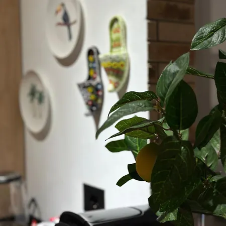 아파트 Sunset Lungomare *